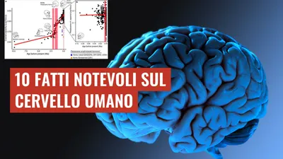 10 Fatti Notevoli sul Cervello Umano
