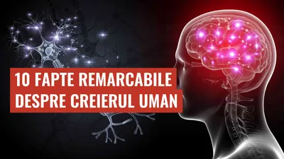 10 Fapte Remarcabile Despre Creierul Uman
