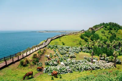 Wyspa Jeju, Korea Południowa