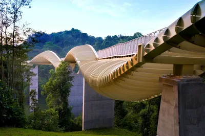 Henderson Waves Bridge