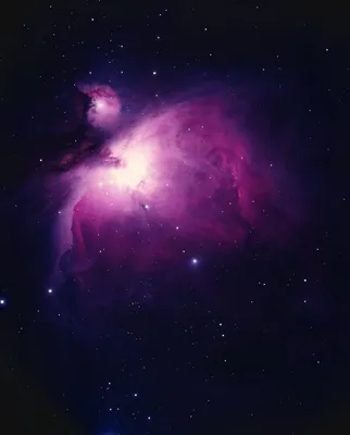 The Orion Nebula