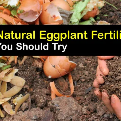 Натуральное удобрение