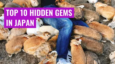 Top 10 Hidden Gems in Japan
