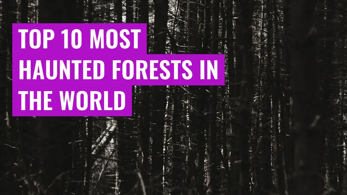 Top 10 most haunted forests in the world
