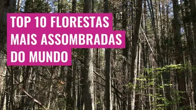 Top 10 florestas mais assombradas do mundo
