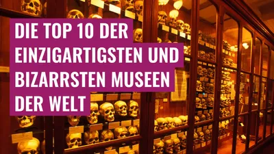 Die Top 10 der einzigartigsten und bizarrsten Museen der Welt

