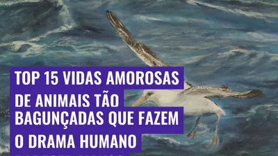 Top 15 Vidas Amorosas de Animais Tão Bagunçadas Que Fazem o Drama Humano Parecer Manso